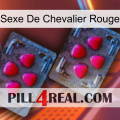Red Knight Sex 14